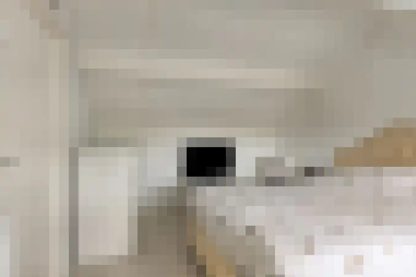 Gierelaar 59 Wouw thumbnail 19