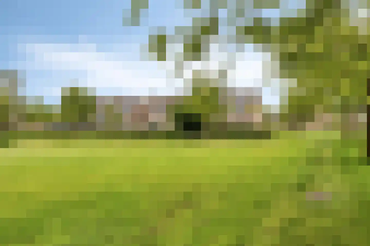 Gierelaar 59 Wouw thumbnail 23