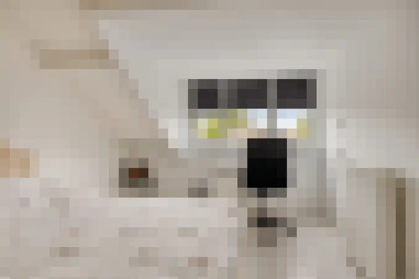 Gierelaar 59 Wouw thumbnail 4