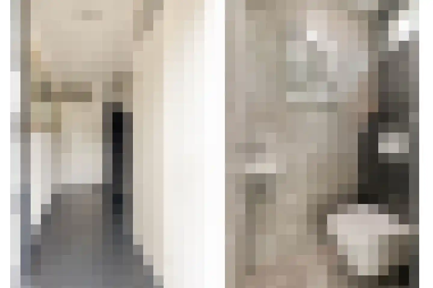 Gierelaar 59 Wouw thumbnail 7