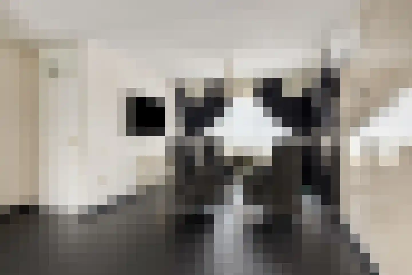 Gierelaar 59 Wouw thumbnail 8