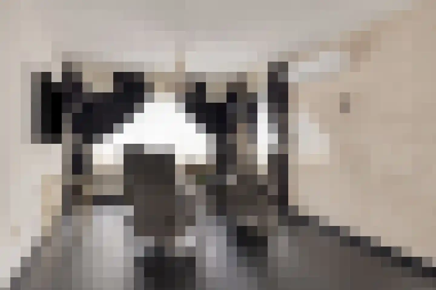 Gierelaar 59 Wouw thumbnail 9