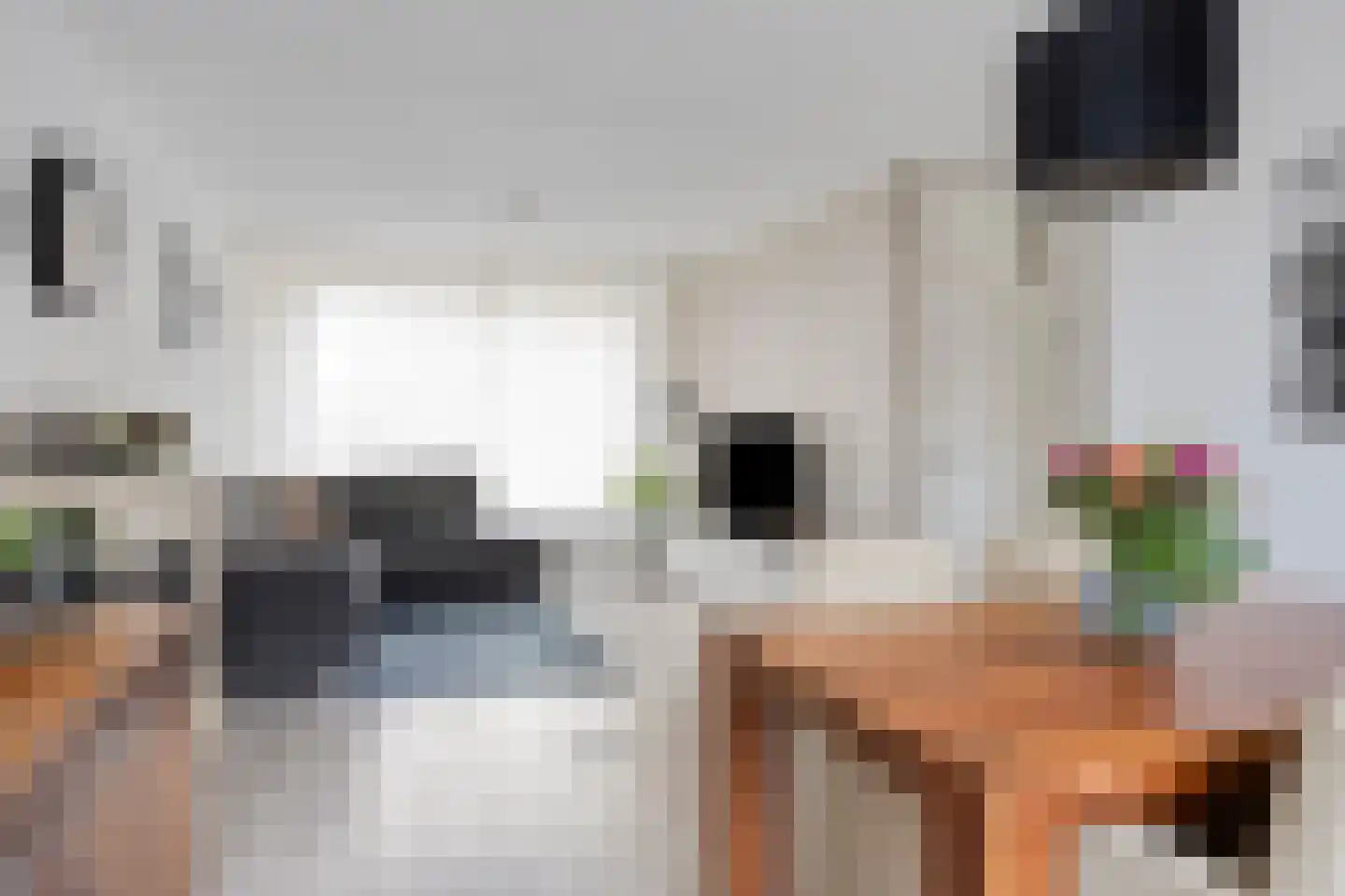 Gierelaar 61 Wouw thumbnail 10