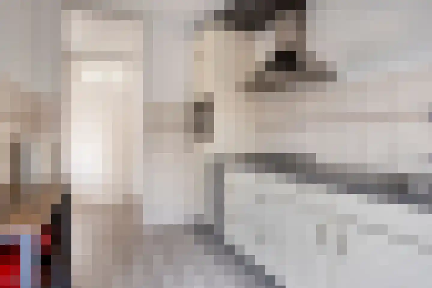 Gierelaar 61 Wouw thumbnail 12