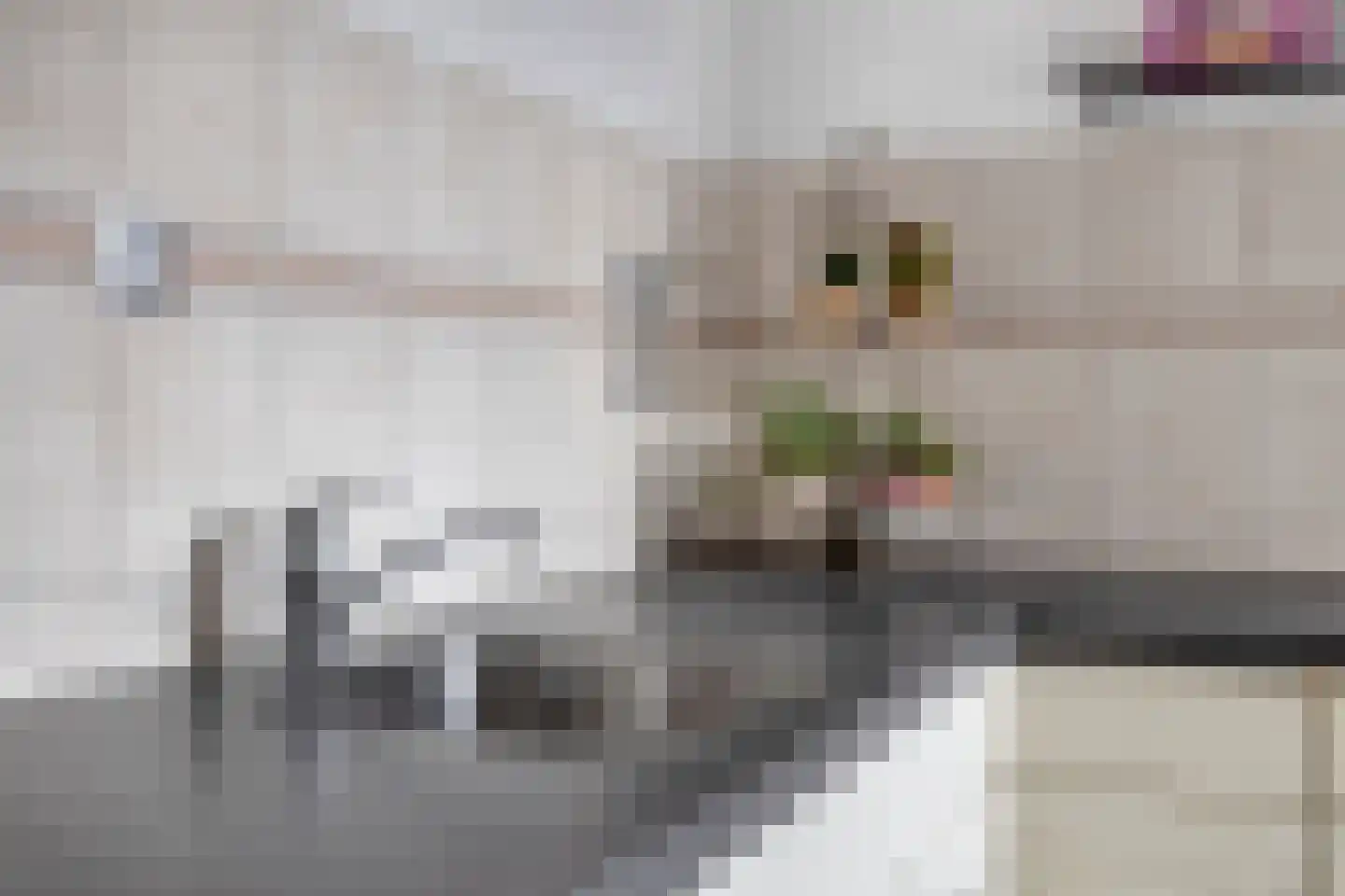 Gierelaar 61 Wouw thumbnail 14