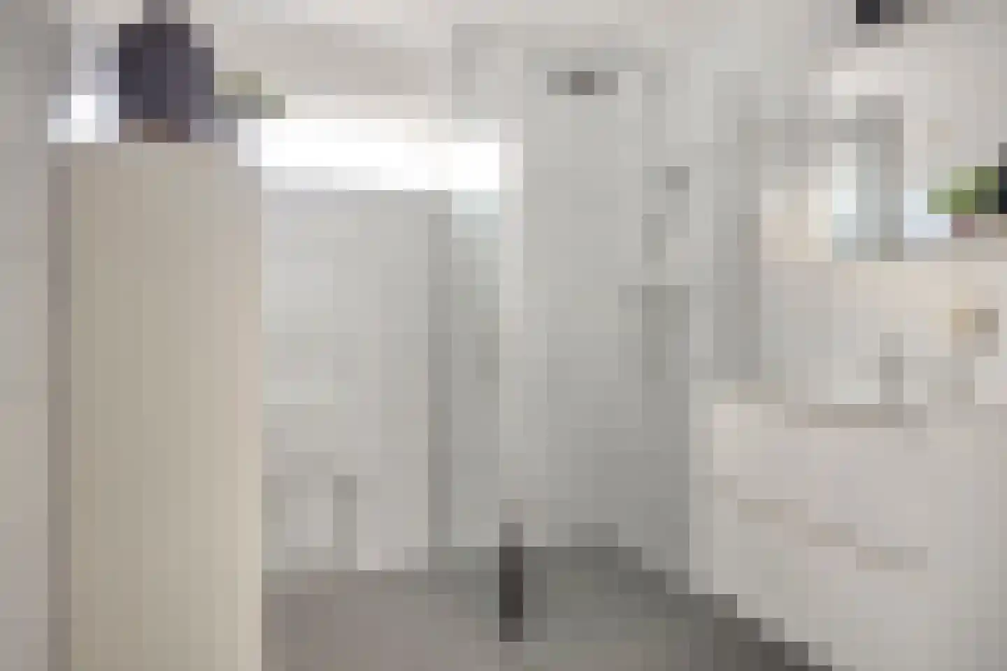 Gierelaar 61 Wouw thumbnail 21