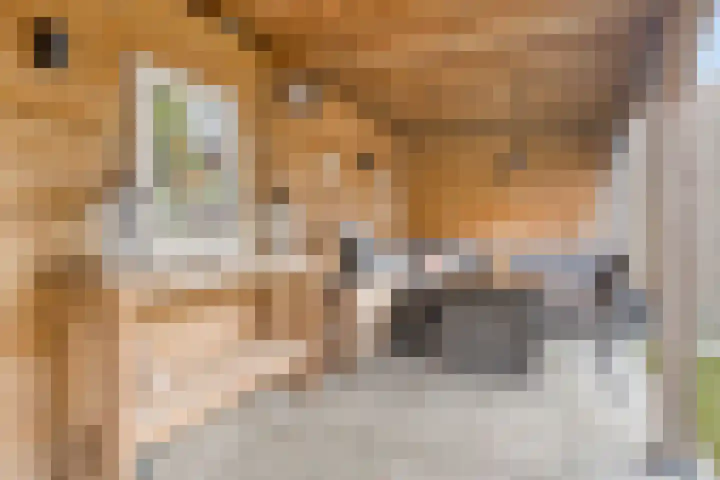 Gierelaar 61 Wouw thumbnail 27