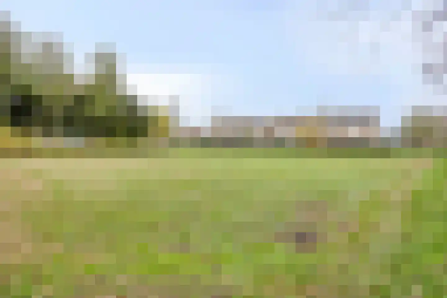 Gierelaar 61 Wouw thumbnail 28