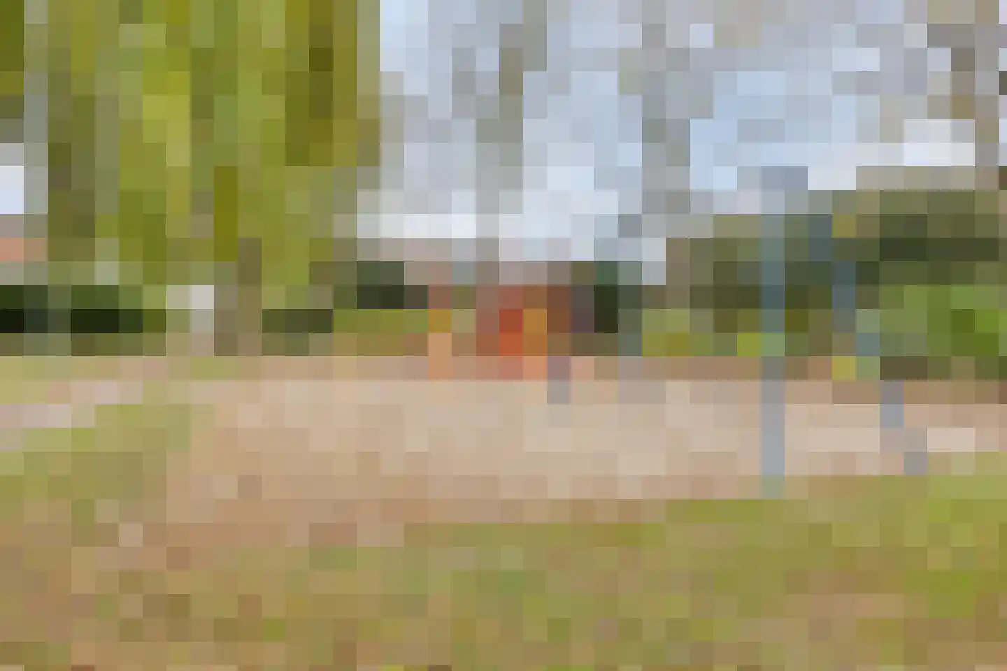Gierelaar 61 Wouw thumbnail 29