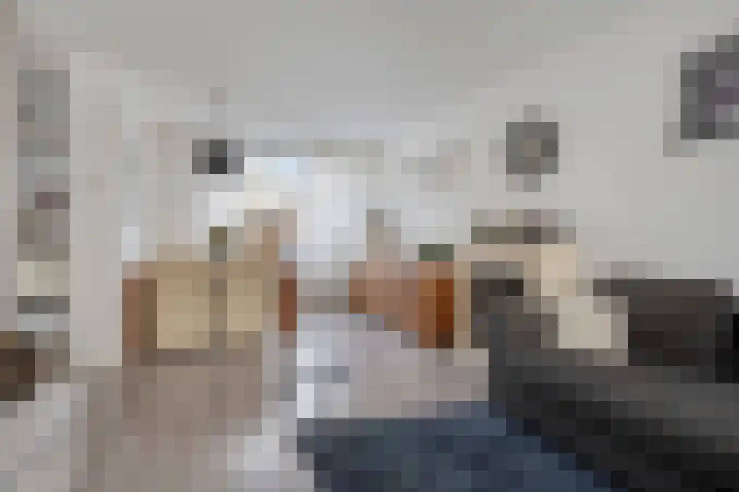 Gierelaar 61 Wouw thumbnail 4