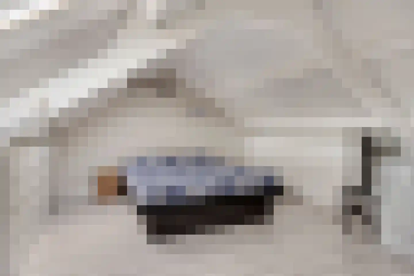 Gierelaar 61 Wouw thumbnail 5