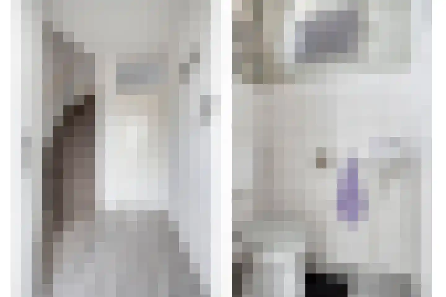 Gierelaar 61 Wouw thumbnail 8