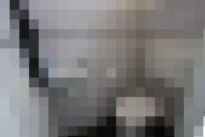 Gierelaar 72 Wouw thumbnail 11