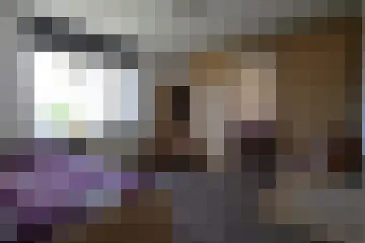 Gierelaar 72 Wouw thumbnail 12