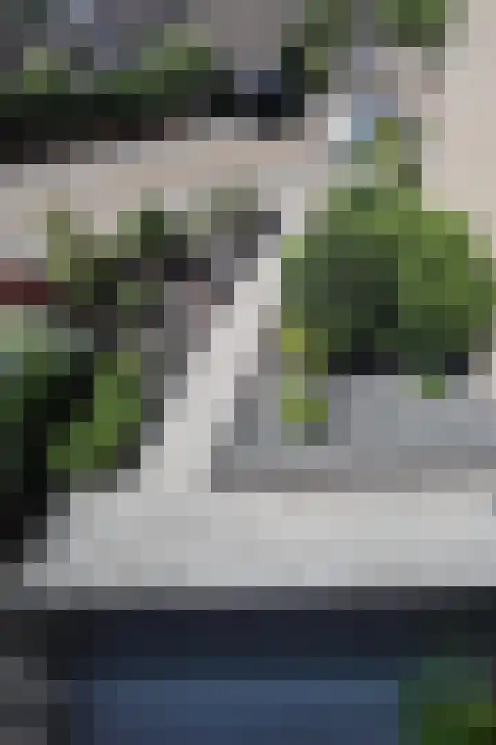 Gierelaar 72 Wouw thumbnail 14