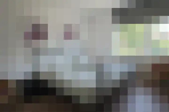 Gierelaar 72 Wouw thumbnail 16