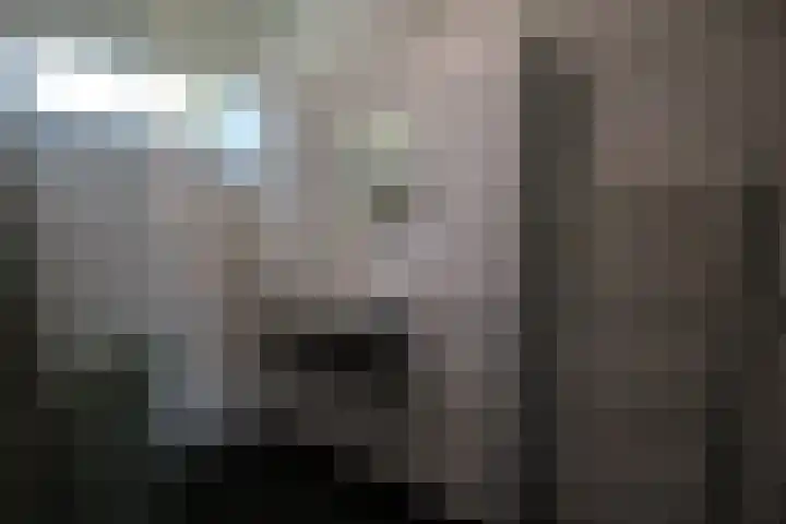 Gierelaar 72 Wouw thumbnail 18