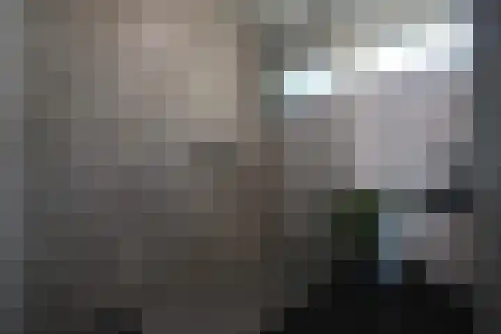 Gierelaar 72 Wouw thumbnail 19