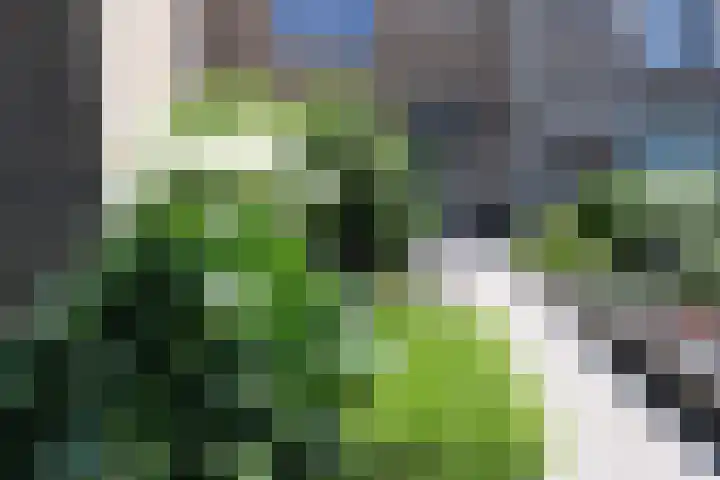 Gierelaar 72 Wouw foto 2