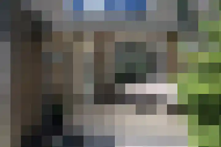 Gierelaar 72 Wouw thumbnail 24