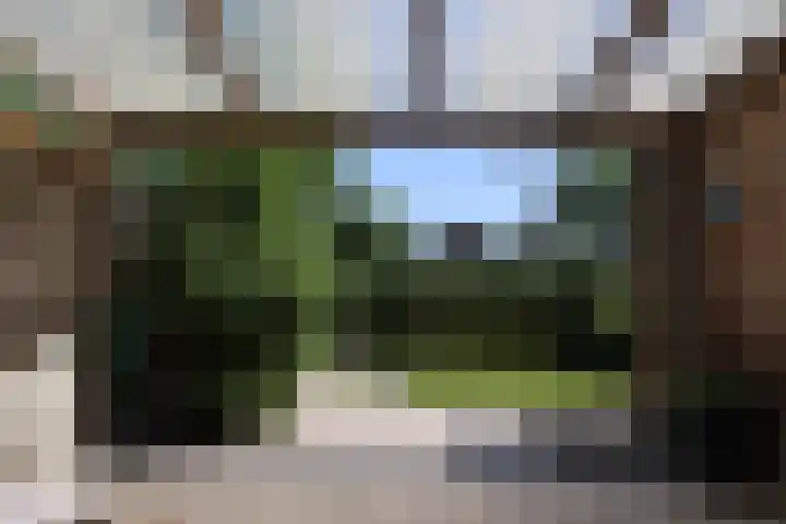 Gierelaar 72 Wouw thumbnail 25