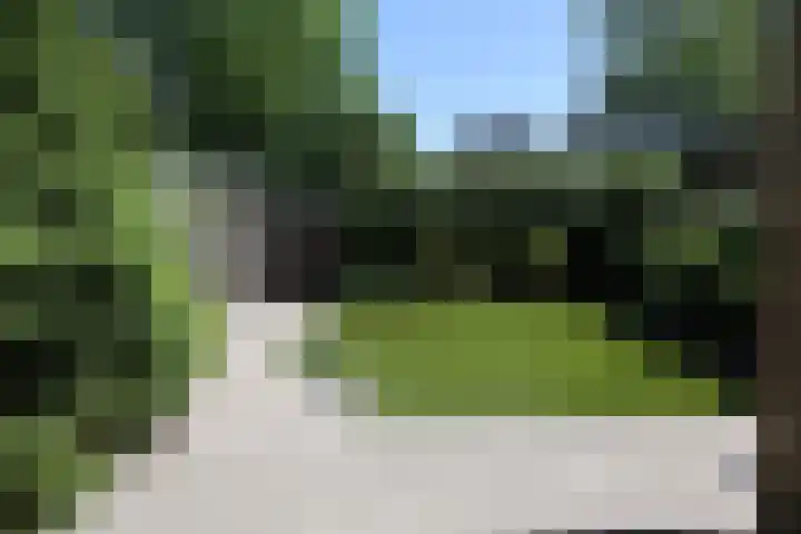 Gierelaar 72 Wouw thumbnail 26