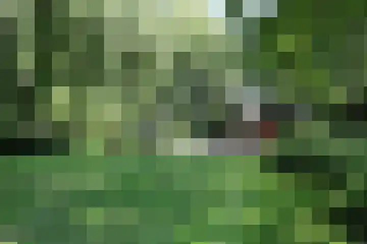 Gierelaar 72 Wouw thumbnail 27