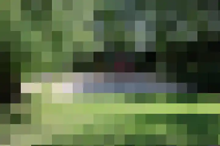 Gierelaar 72 Wouw thumbnail 28