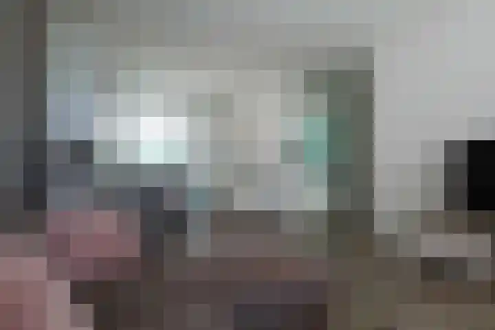 Gierelaar 72 Wouw thumbnail 5