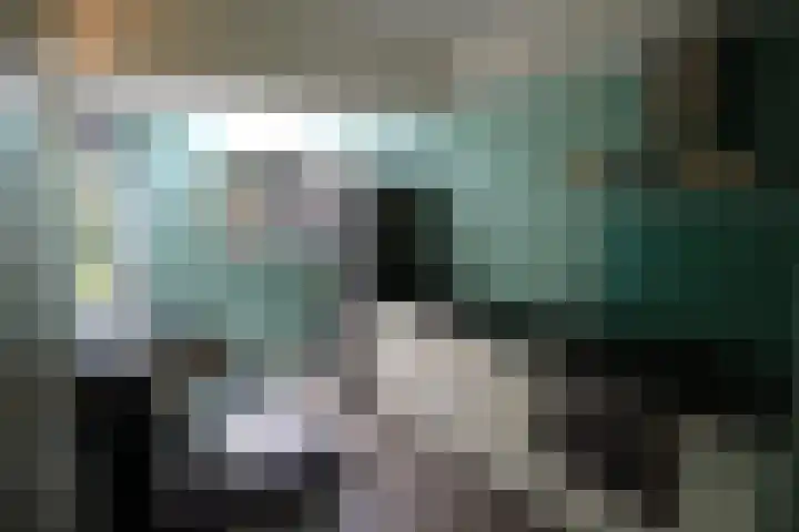 Gierelaar 72 Wouw thumbnail 8
