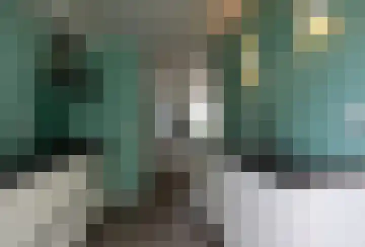 Gierelaar 72 Wouw thumbnail 9
