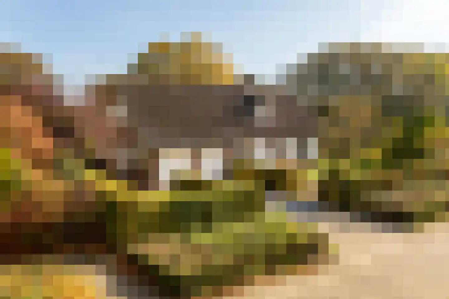Gierelaar 79 in Wouw
