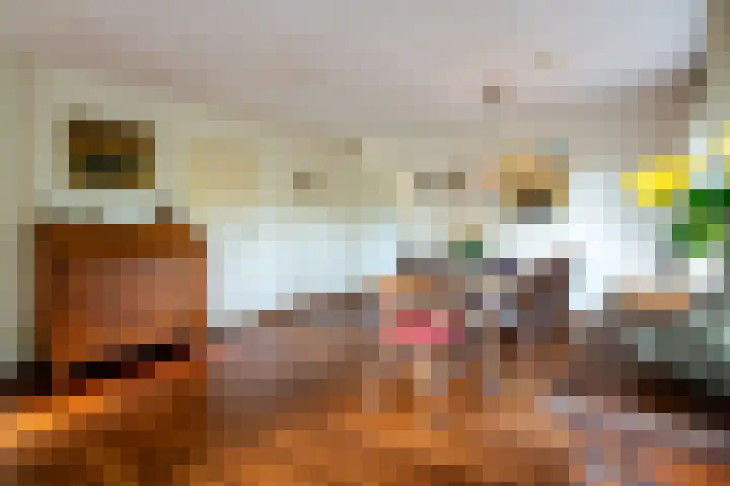 Gierelaar 79 Wouw thumbnail 11