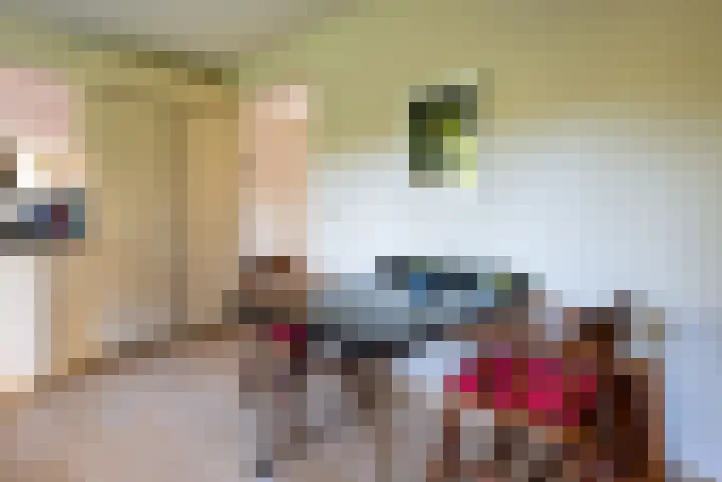 Gierelaar 79 Wouw thumbnail 16