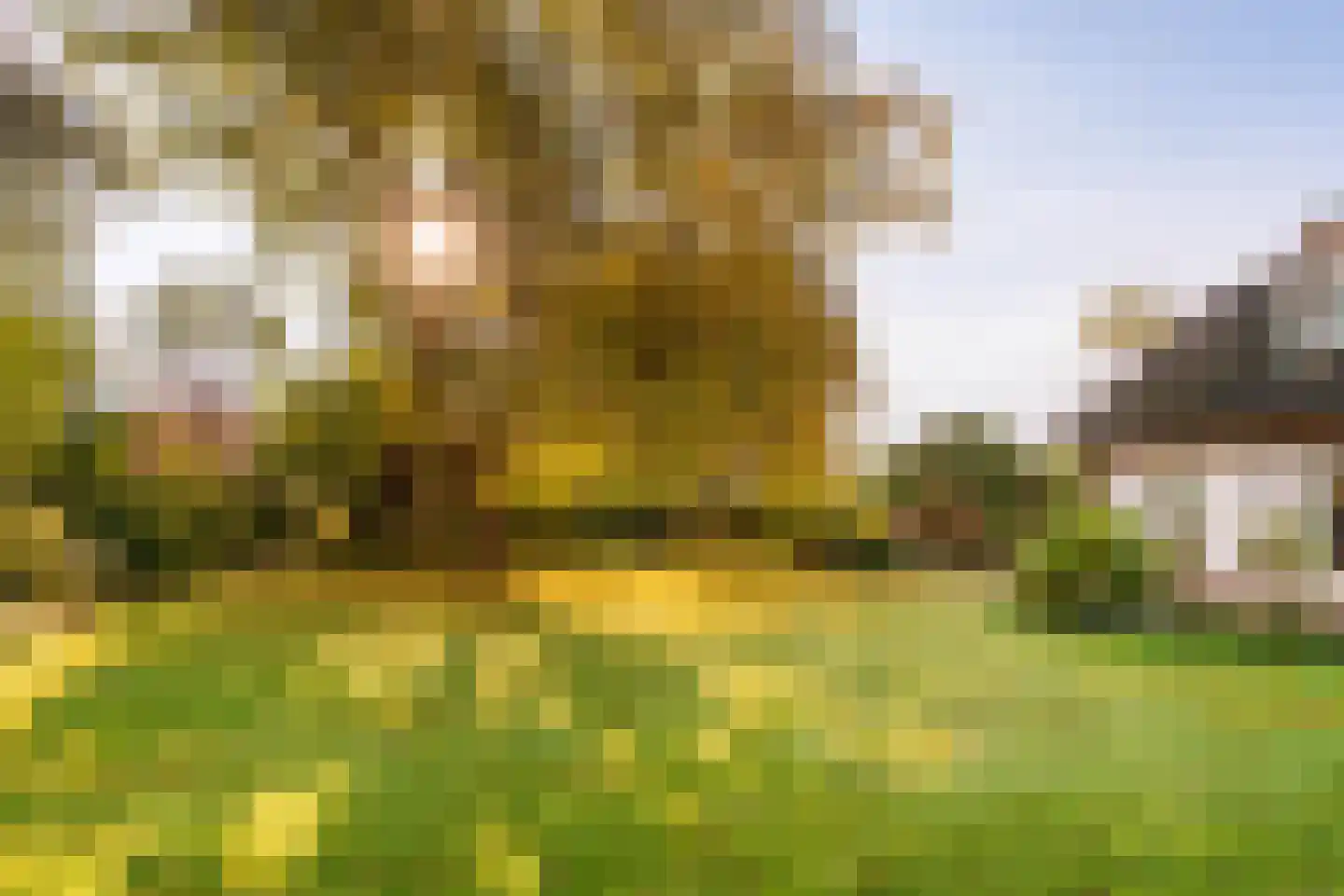 Gierelaar 79 Wouw thumbnail 37