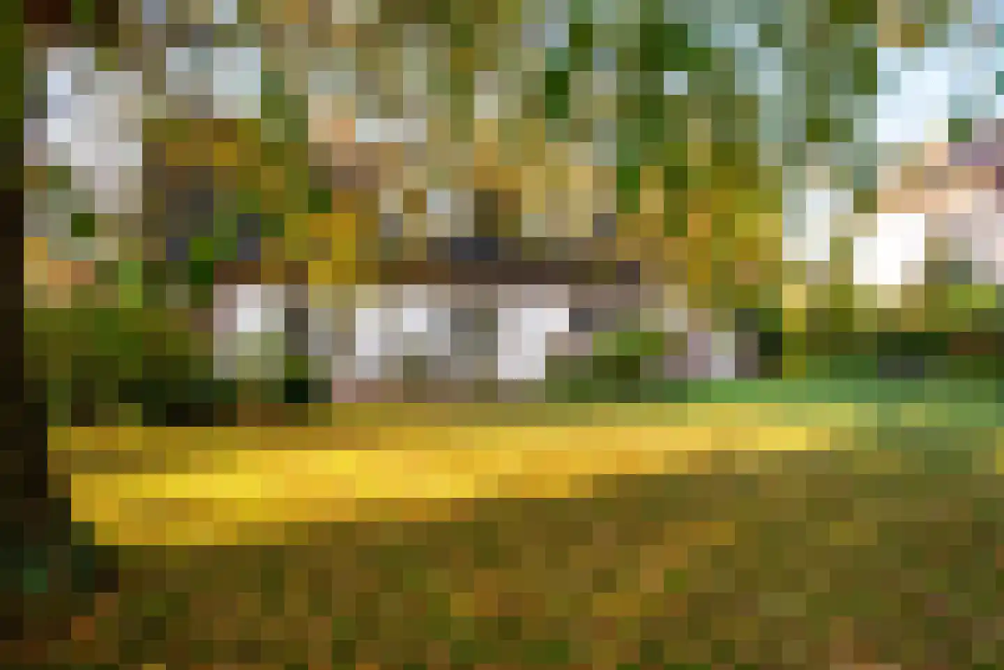 Gierelaar 79 Wouw thumbnail 39
