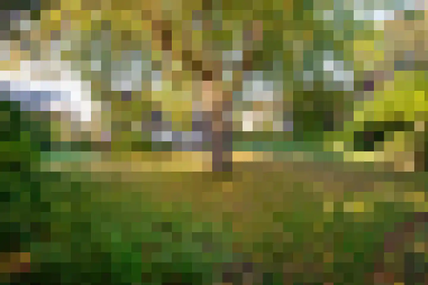 Gierelaar 79 Wouw thumbnail 41
