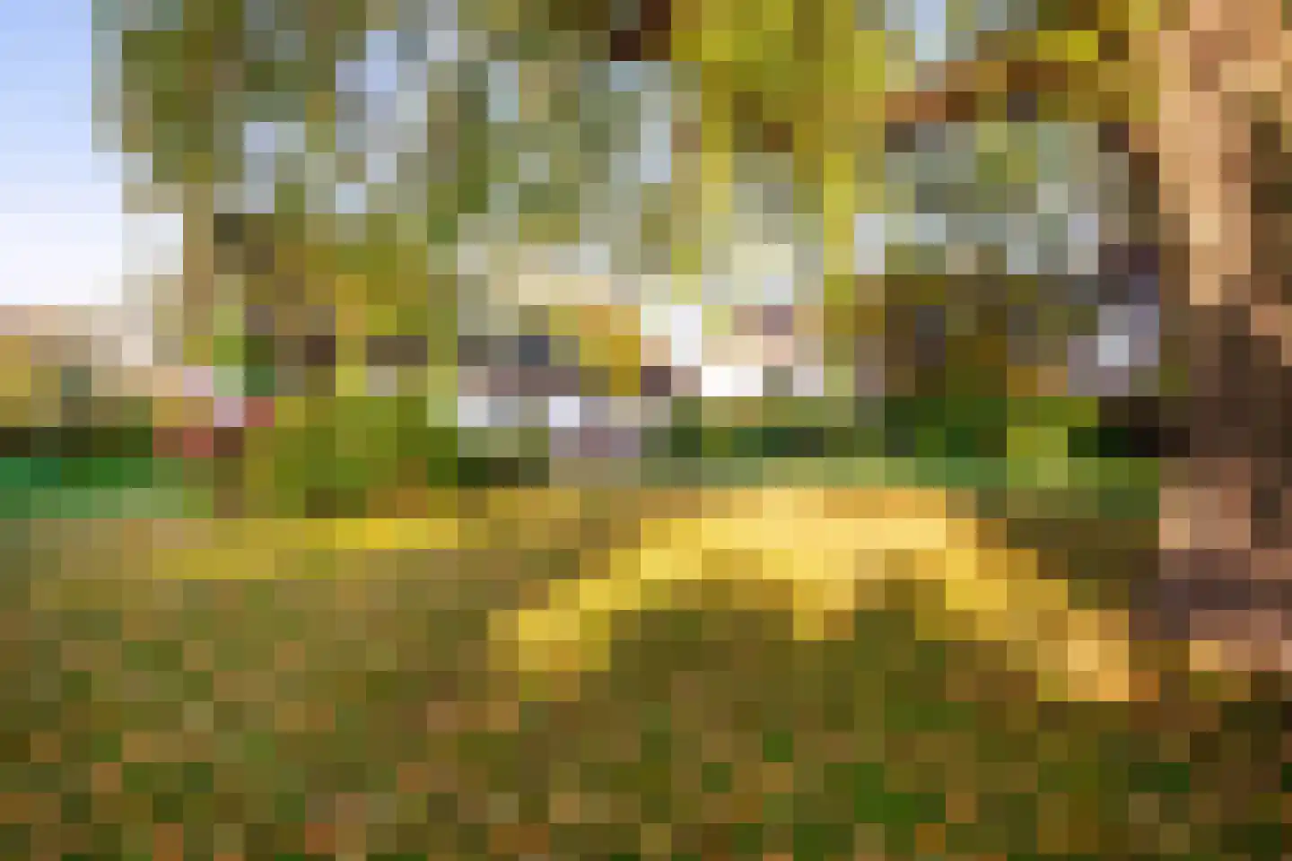 Gierelaar 79 Wouw thumbnail 42
