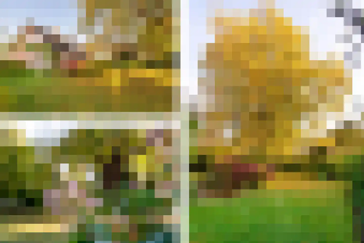 Gierelaar 79 Wouw thumbnail 43