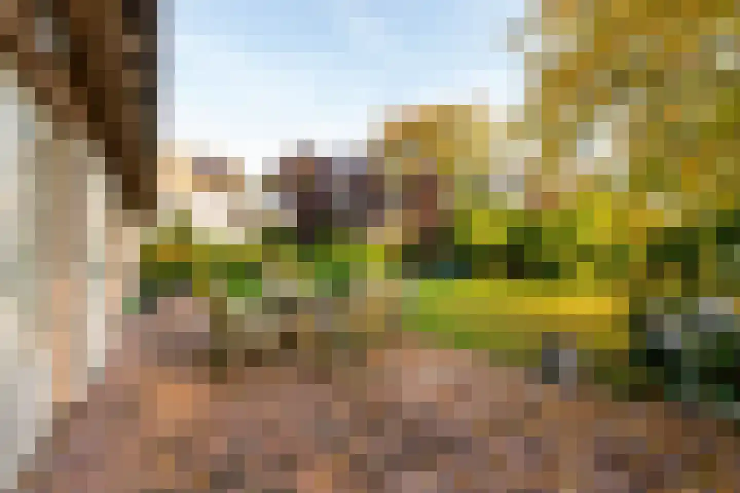 Gierelaar 79 Wouw thumbnail 44