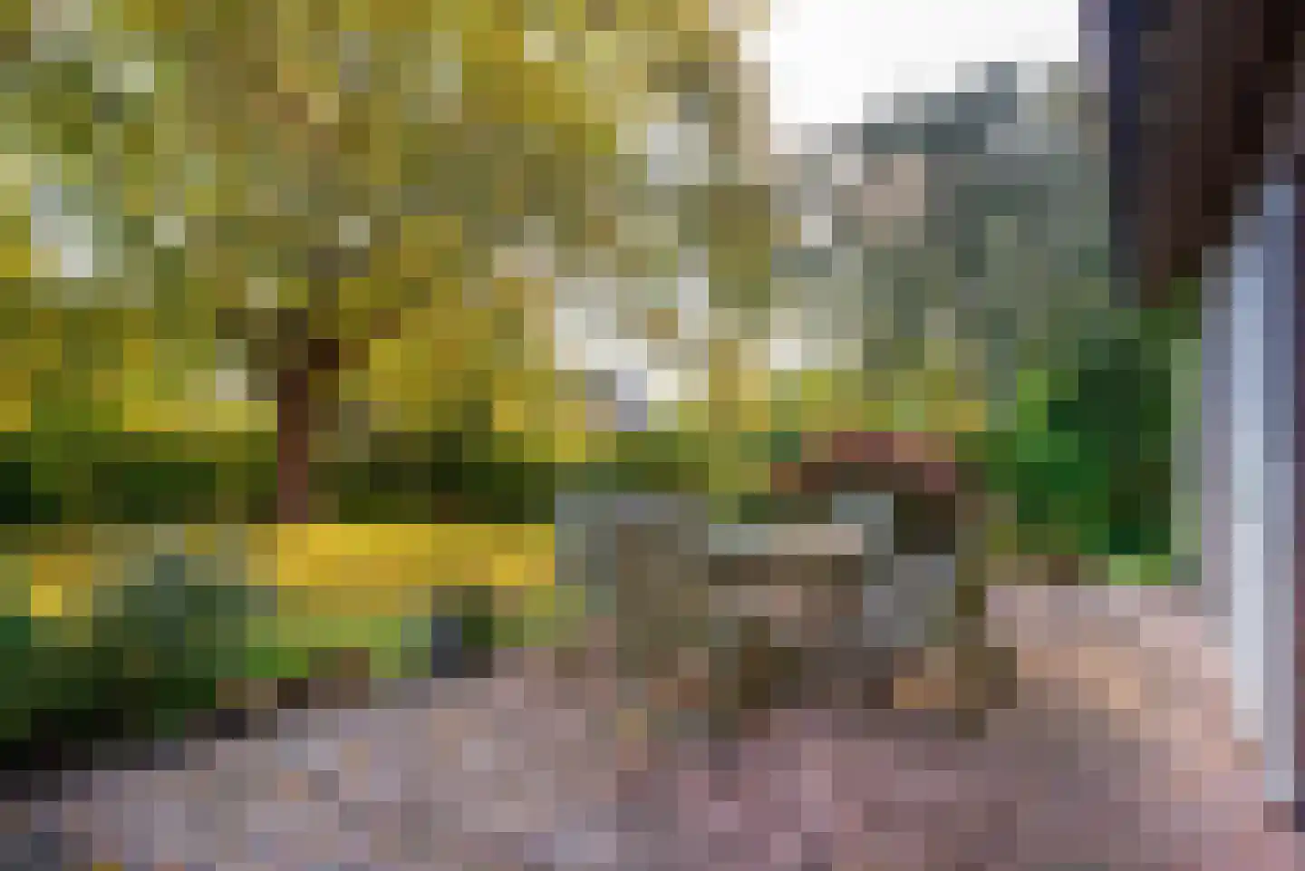 Gierelaar 79 Wouw thumbnail 45