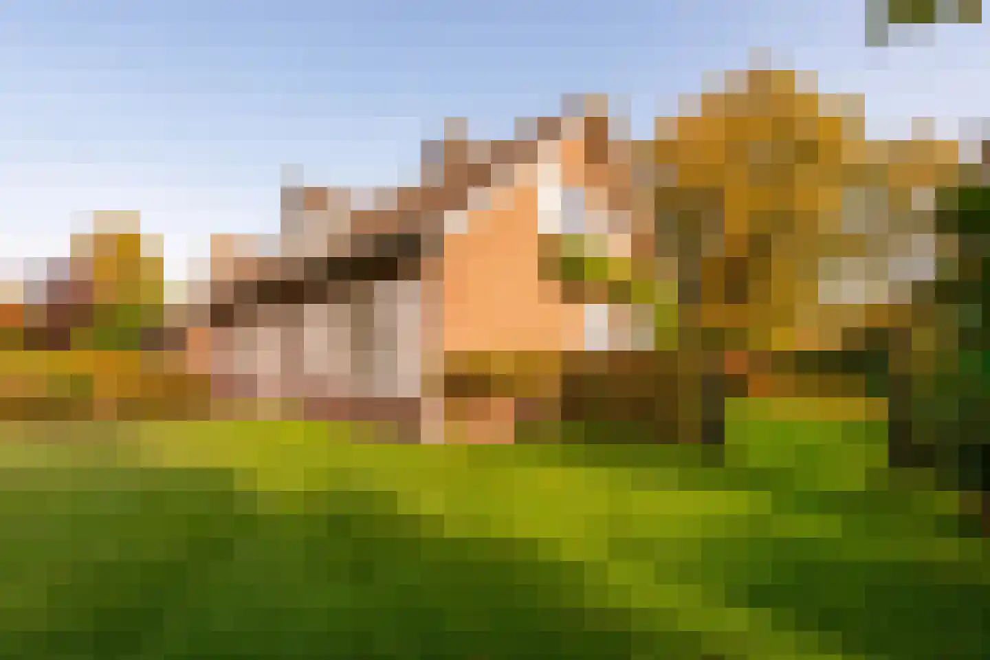 Gierelaar 79 Wouw thumbnail 49