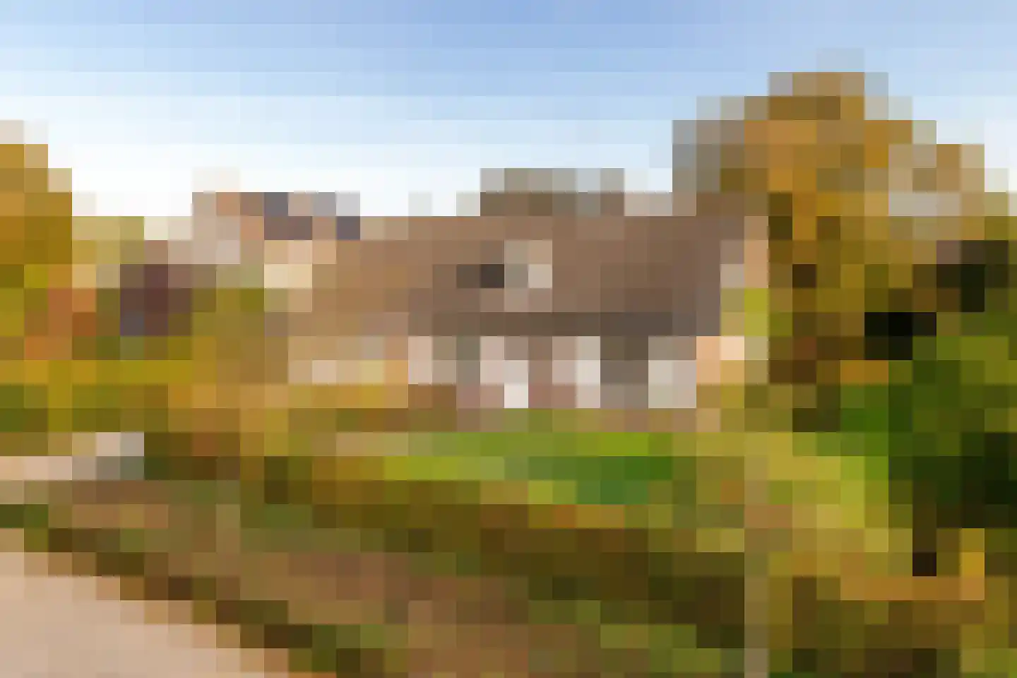 Gierelaar 79 Wouw thumbnail 50