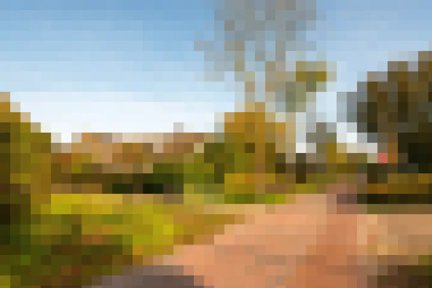 Gierelaar 79 Wouw thumbnail 52