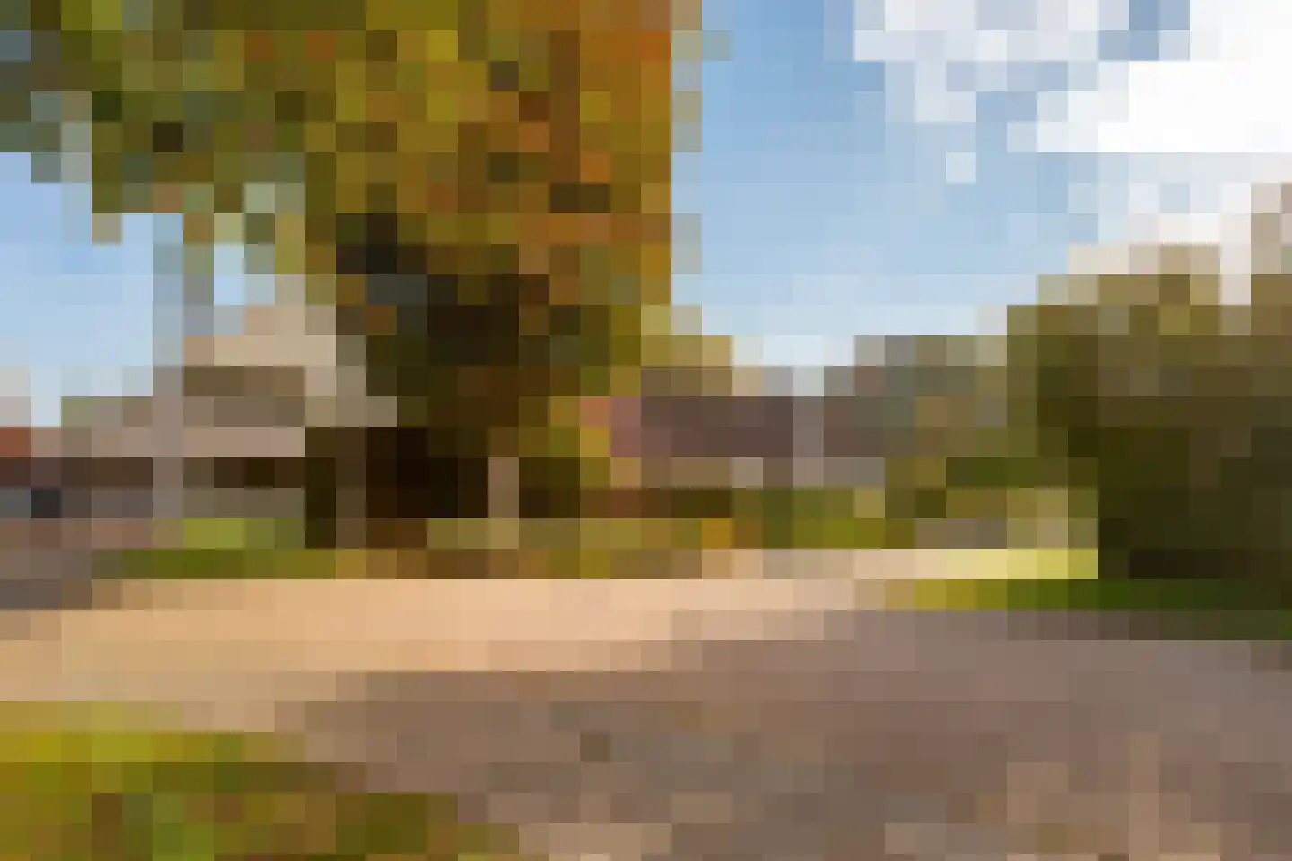 Gierelaar 79 Wouw thumbnail 53