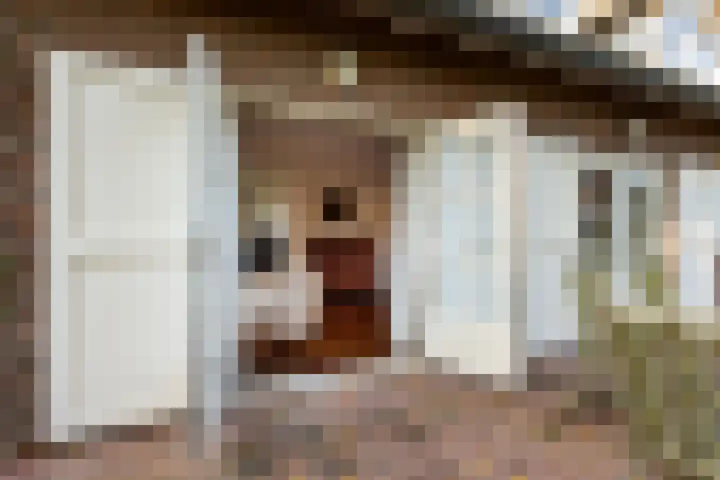 Gierelaar 79 Wouw thumbnail 9