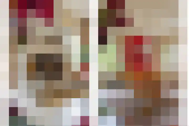 Gierelaar 87 Wouw thumbnail 11