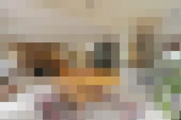 Gierelaar 87 Wouw thumbnail 17