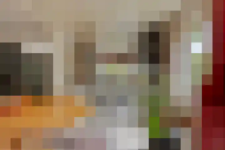 Gierelaar 87 Wouw thumbnail 18