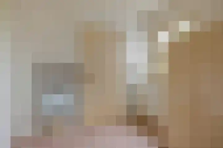 Gierelaar 87 Wouw thumbnail 24